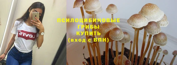 прущая мука Белокуриха