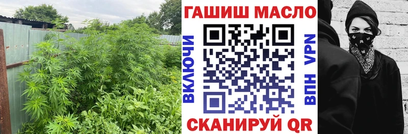 ТГК Wax где купить наркоту Макаров