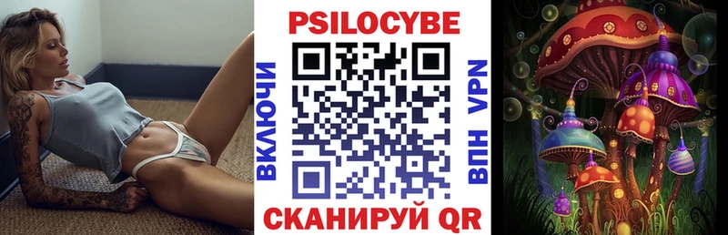 Галлюциногенные грибы Psilocybe  дарк нет телеграм  Макаров  наркошоп 