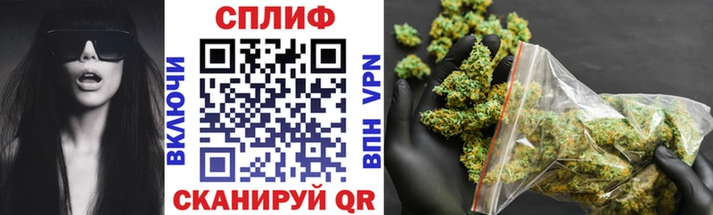 где купить наркотик  Макаров  Бошки марихуана тримм 